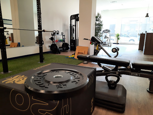Triforce Physio - Visual