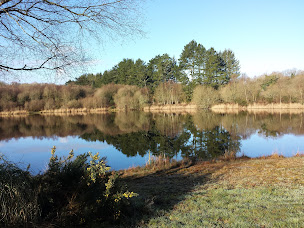 Photo n°4 de Maison de Cap Natur à Guiscriff (Chambre d'hôtes)