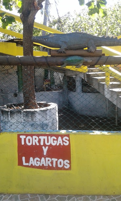 Photos of Bungalows Don Carlos