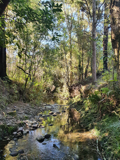Eves Valley Scenic Reserve - Thumbnail