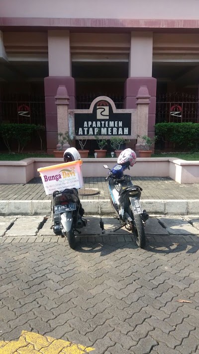 Photos of bunga davi