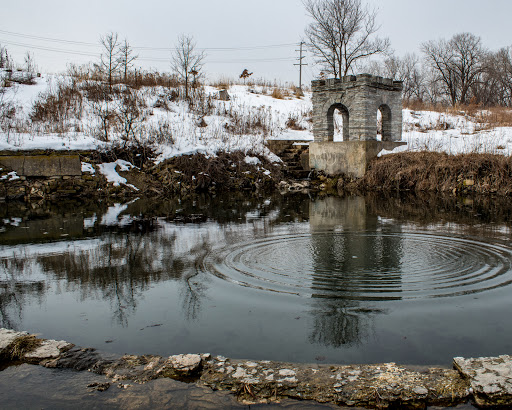 Coldwater Spring - Thumbnail