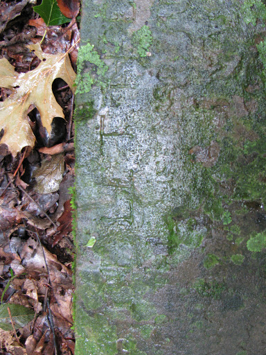 Cornelius Family Cemetery - Thumbnail