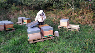 Photo n°19 de L'Abeille à Voile à Beuzec-Cap-Sizun (Miellerie)