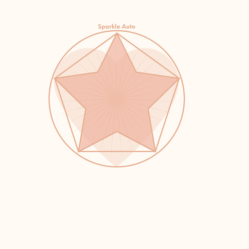 Sparkle Auto - Visual