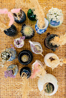 le petit mazagran à Lille