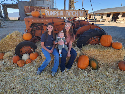 Sunder Creek Farms Gallery - United States