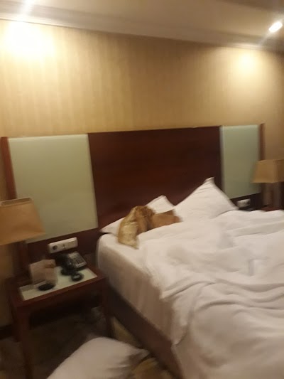 Photos of Jupiter International Hotel, Bole