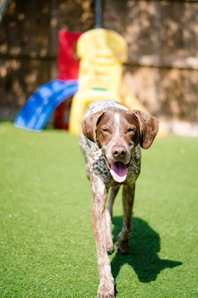 The Pet Resort On Main