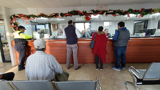 Tesorería Municipal de Guaymas Gallery - Mexico