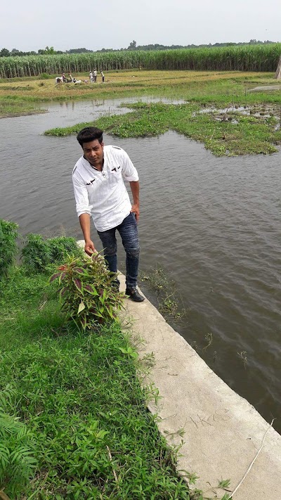 Photos of Rashik GP Hatchery Limited