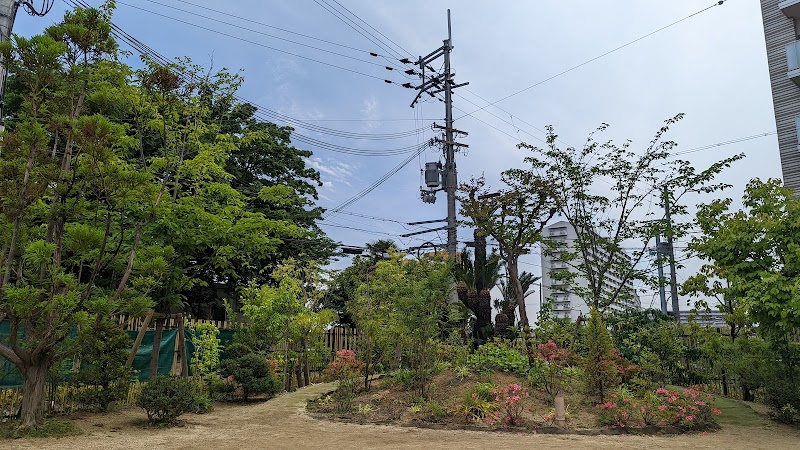 浅香こども園大和川分園