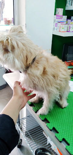 Clínica Veterinaria Ikal - Thumbnail