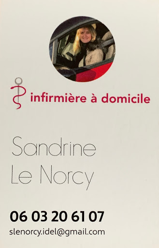 SANDRINE LE NORCY
