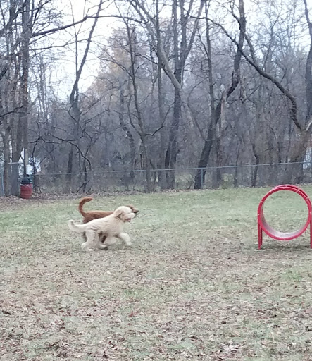 Schoonmaker Park - Visual