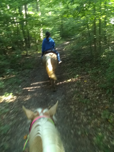 Owen-Putnam State Forest Mountain Bike Trailhead - Thumbnail