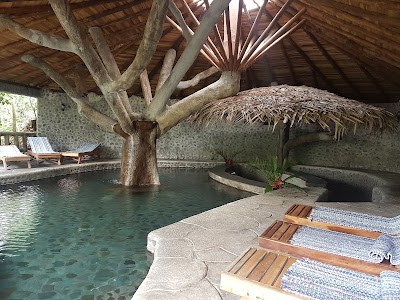 Photos of Rancho Margot Medicinal Garden