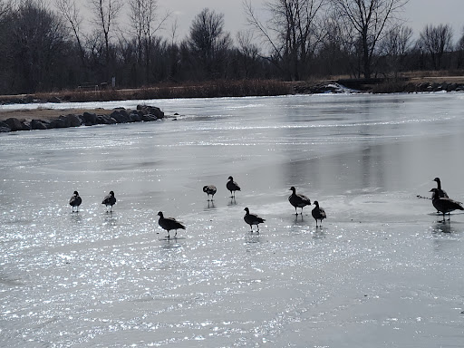 Fountain creek dog park - Thumbnail