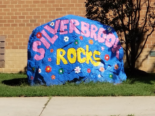 Silverbrook Elementary School - Visual