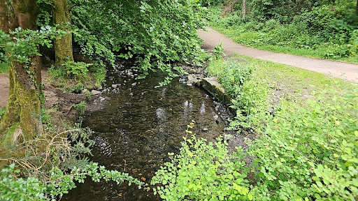 Three Mile Water pitches - Thumbnail