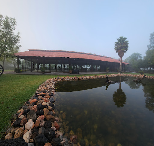 Tierra Morena - Thumbnail