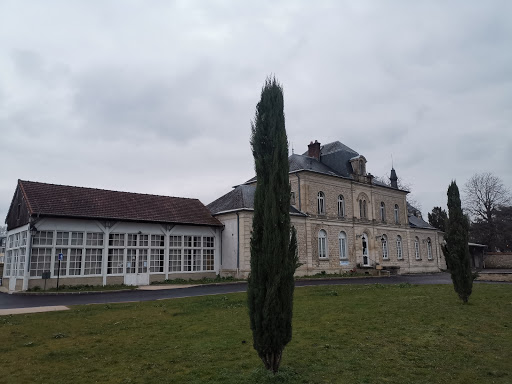 School Albert Camus
