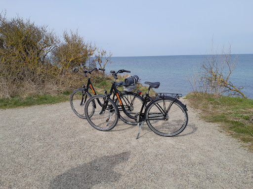 Ostseebike Fahrradvermietung - Thumbnail