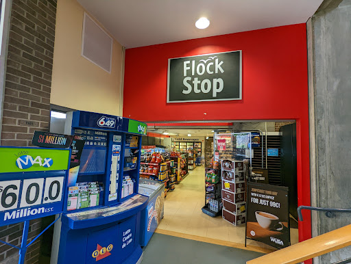 Flock Stop - Visual