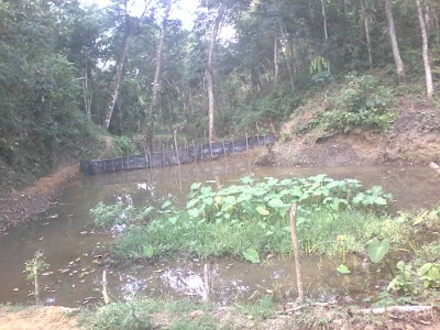 Photos of Pasar Sijunjung