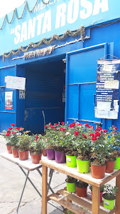 Mercado Santa Rosa 0