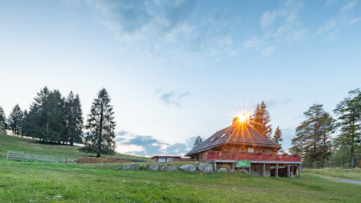 site_photo2