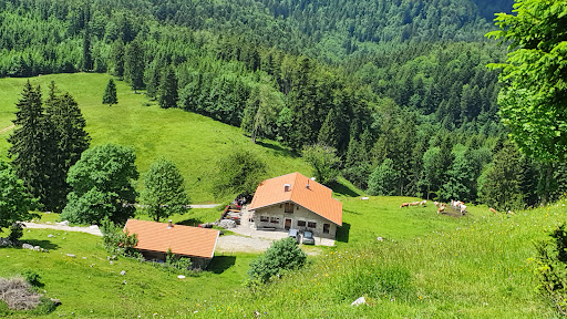Wagneralm - Visual