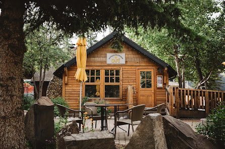 Buffalo Mountain Lodge - Banff, Alberta