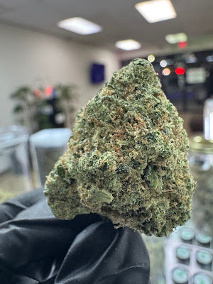 Photo of Grabuds