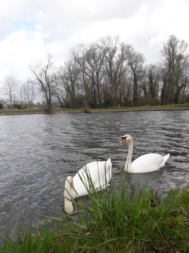 GVO Etang N°9 - Thumbnail