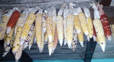 Photos of Guachtuhq "El Robledal"