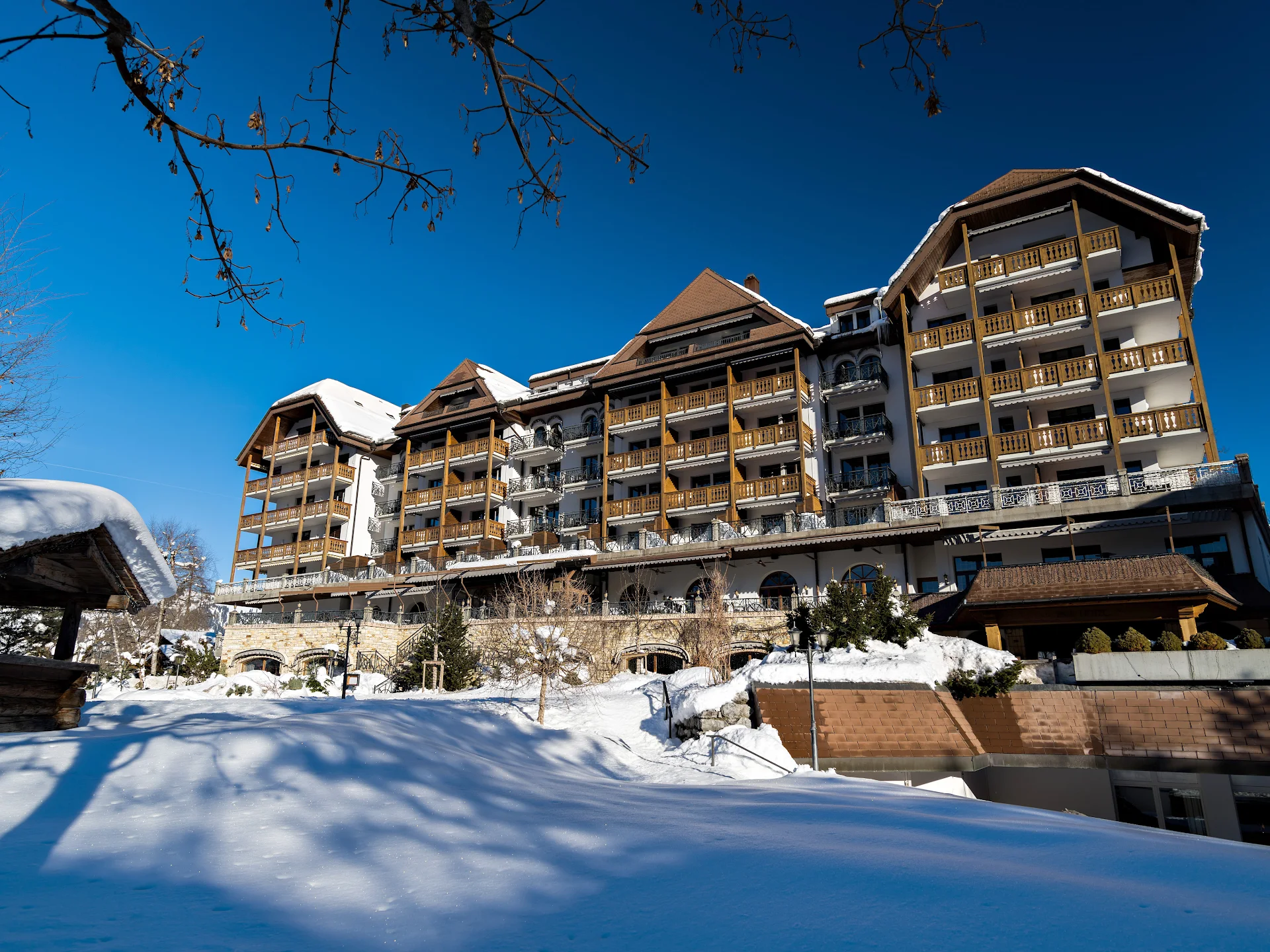 Park Gstaad