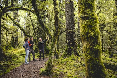 Photos of Fiordland Trips & Tramps