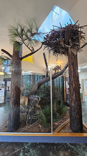 Environmental Interpretive Center - Visual
