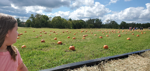 R-Farm Pumpkins & More - Thumbnail