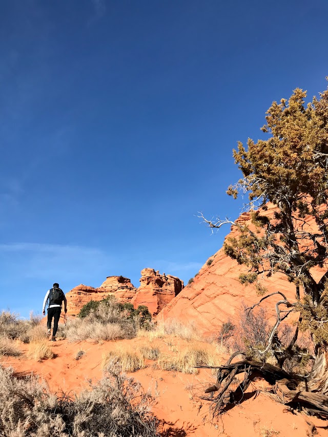 Paria Canyon-Vermilion Cliffs Wilderness