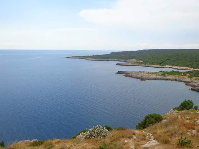 Porto Selvaggio Beach