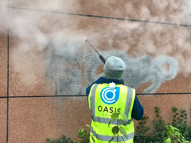 oasiscleaningni.com