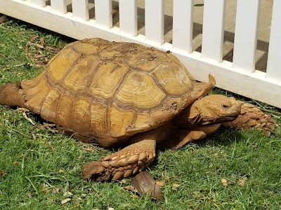 Maui Humane Society