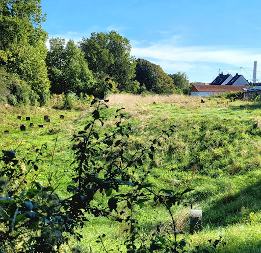 Alter Jüdischer Friedhof Rödelheim - Thumbnail