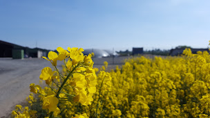 Photo n°2 de Le Bois Rocher à Martigné-Ferchaud (Siège social)