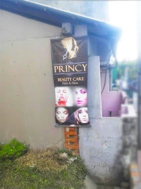 Princy Beauty Care, Author: Princy Beauty Care