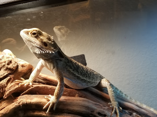 Southwest Veterinary Medical Center - Thumbnail