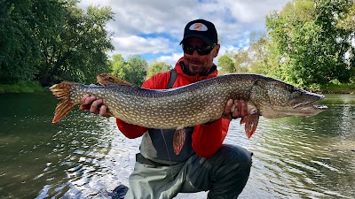 Stream and Brook Fly Fishing