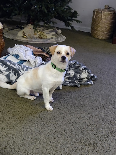 Pennsauken Animal Hospital Gallery - United States